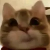 biscotti_0