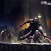 zynek.dl