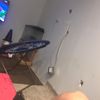 xavier.okeefe33