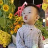 09072017phong