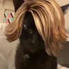 mmeshkat