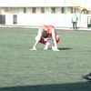 efegezicii
