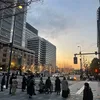 phuongtokyo3699