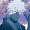 kurishebi