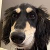 lukesaluki