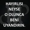 revolotionn