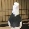 sneebie1