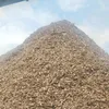 thanh_nlsk_biomass