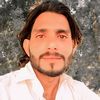 shabbir.533