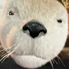 volkadav86