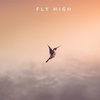 flyhigh33i