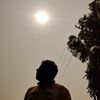 fire_fly_28