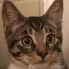 philzabey