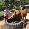 ken_2547__