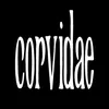 ihatecorvidae