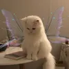 hiisofie