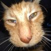 amilia.marigold