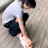 hanimylab