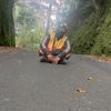 dhev10