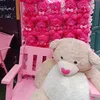 kouki_23_