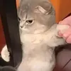 usermwynshbmvu