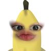 syzcann