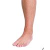 themanthemyththeleg