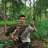 trongkhanh2294