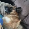 booswayn