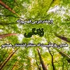 faro.ali23
