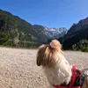 mazizonatrawel