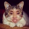 joyceeiko