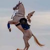 saeed_11477