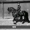 iefke_ilse_