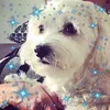 charliemiky