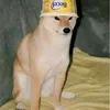 autistanumero40