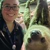 animalsandadventures