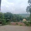 zhs_35_
