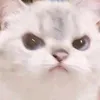 nynhuhuhu