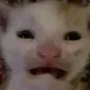 huwgsgh