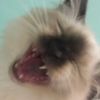 nicethatsfunnybro