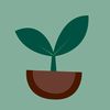 silvertheplant