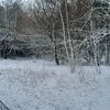 shaunthesheepy23