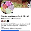 Hoa Đà Lạt Chuyên Sĩ