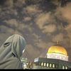 amira_mahmod6