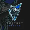 troyboy755