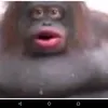 ifinallyhavebraincells