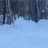 cobubububu