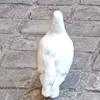 vivepresidentteboune