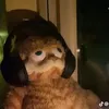peter.7.7